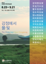 2014 강정 대구현대미술제 - 강정에서 물ㆍ빛 이미지